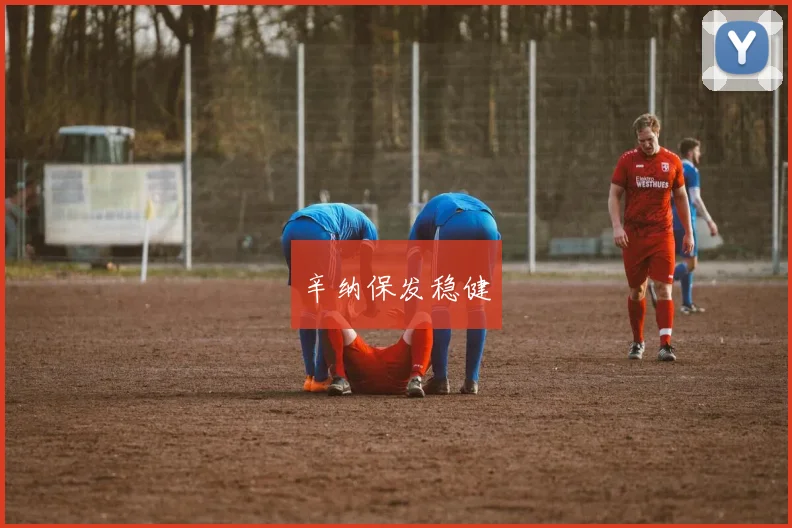 辛纳保发稳健