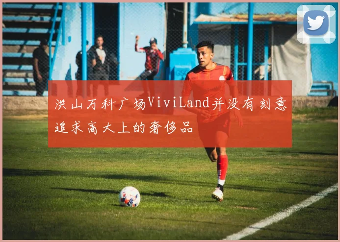 洪山万科广场ViviLand并没有刻意追求高大上的奢侈品