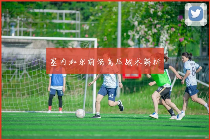 塞内加尔前场高压战术解析