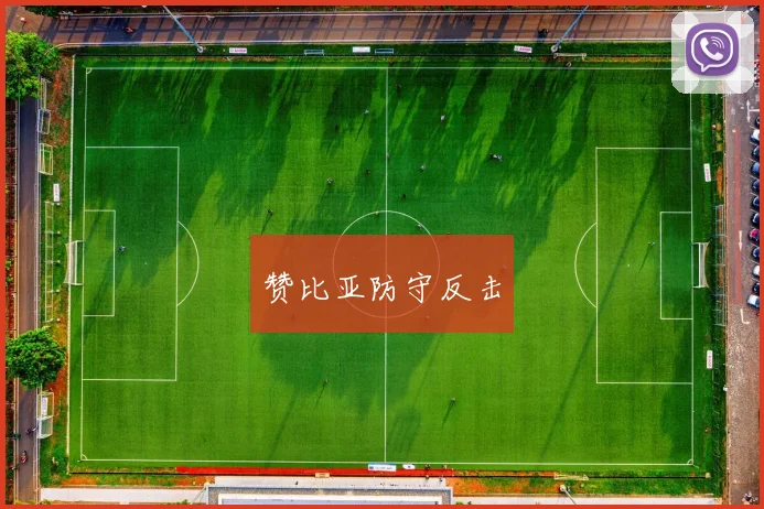 赞比亚防守反击