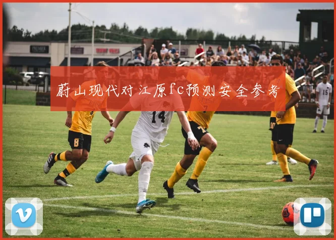 蔚山现代对江原fc预测安全参考