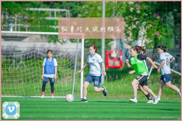 秘鲁对决玻利维亚