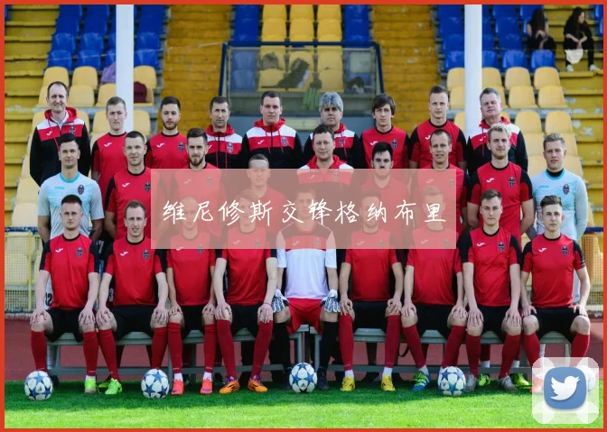 维尼修斯交锋格纳布里