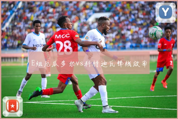 E组厄瓜多尔vs科特迪瓦锋线效率