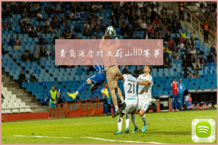 青岛海牛对决蔚山HD赛事
