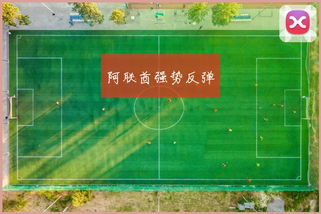 阿联酋强势反弹