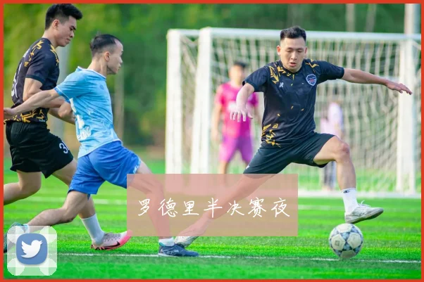 罗德里半决赛夜