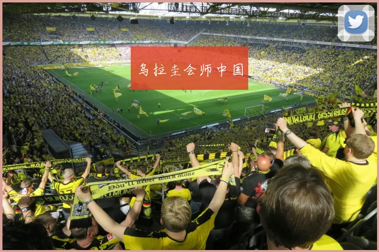 乌拉圭会师中国