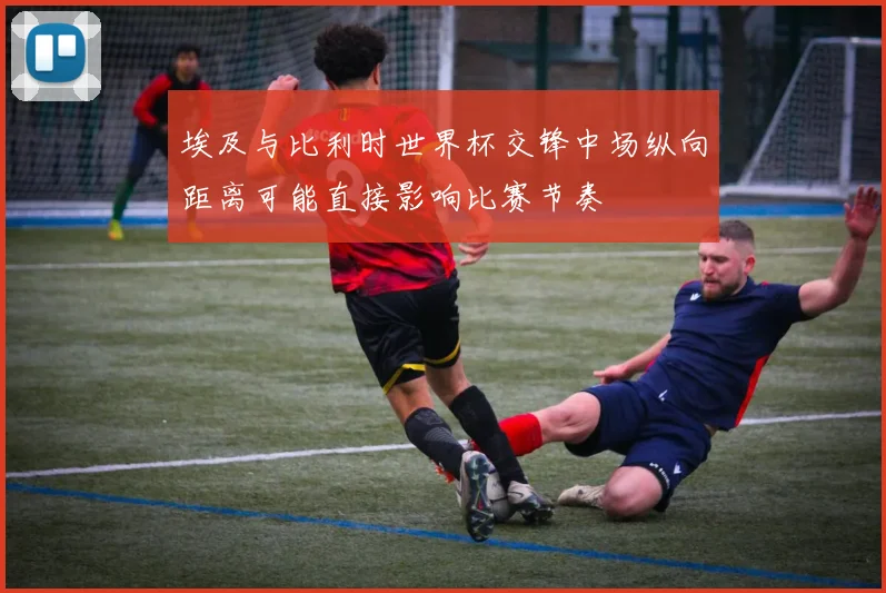 埃及与比利时世界杯交锋中场纵向距离可能直接影响比赛节奏