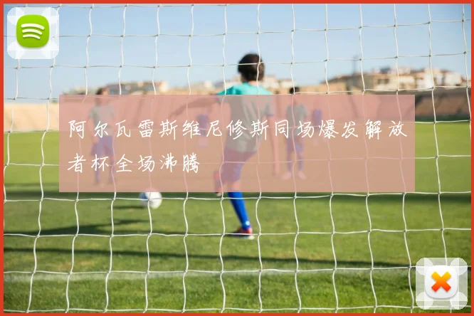 阿尔瓦雷斯维尼修斯同场爆发解放者杯全场沸腾