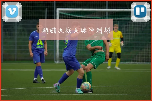鹈鹕决战关键冲刺期