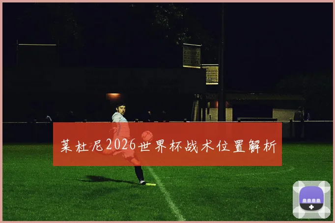 莱杜尼2026世界杯战术位置解析