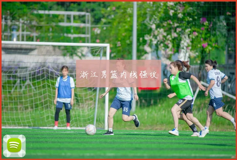 浙江男篮内线强攻
