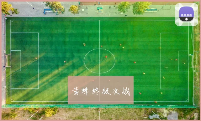 黄蜂终极决战