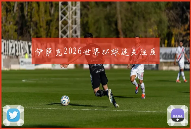 伊萨克2026世界杯球迷关注度