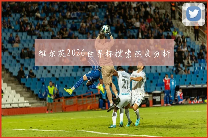 维尔茨2026世界杯搜索热度分析