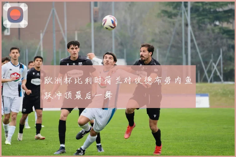 欧洲杯比利时荷兰对攻德布劳内鱼跃冲顶最后一舞