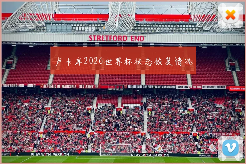 卢卡库2026世界杯状态恢复情况