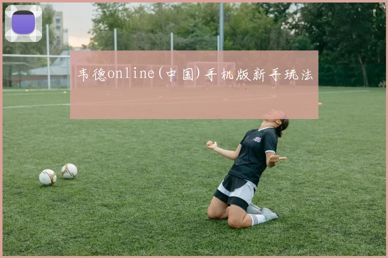 韦德online(中国)手机版新手玩法