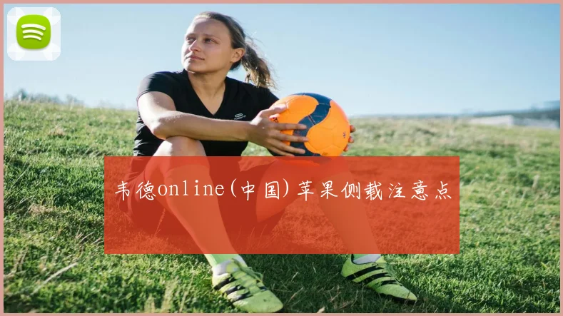 韦德online(中国)苹果侧载注意点