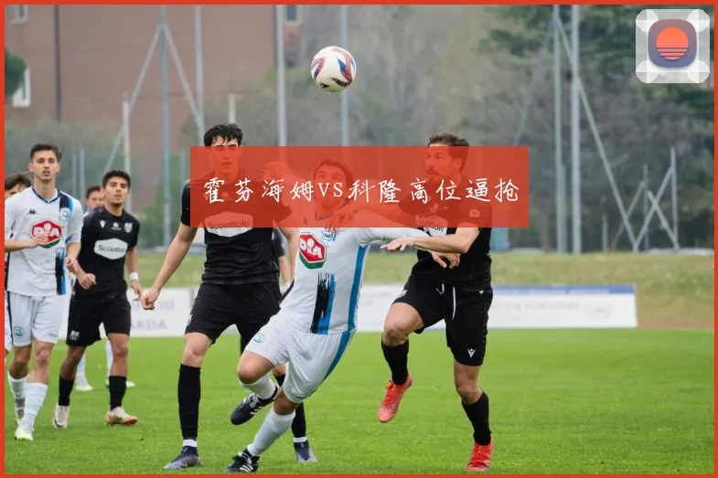 霍芬海姆vs科隆高位逼抢