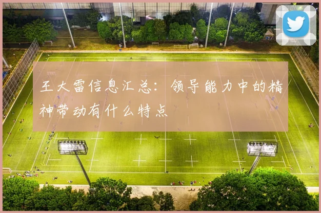 王大雷信息汇总：领导能力中的精神带动有什么特点